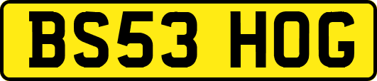 BS53HOG