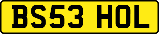 BS53HOL