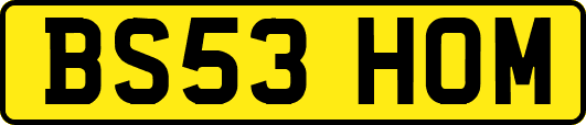 BS53HOM