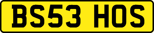 BS53HOS