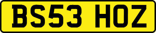 BS53HOZ
