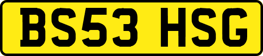 BS53HSG