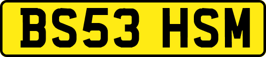 BS53HSM