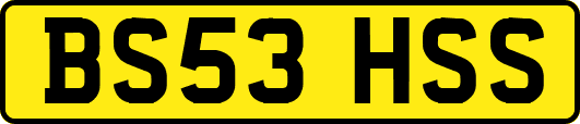 BS53HSS