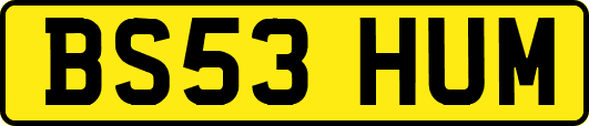 BS53HUM