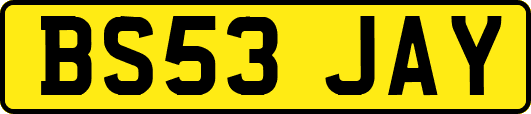 BS53JAY