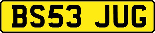 BS53JUG