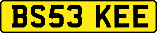 BS53KEE