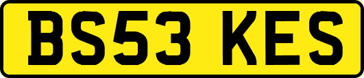 BS53KES