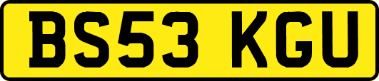BS53KGU