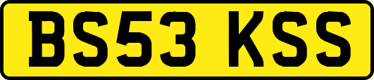 BS53KSS