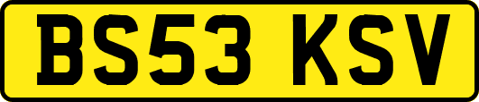 BS53KSV