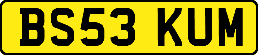 BS53KUM