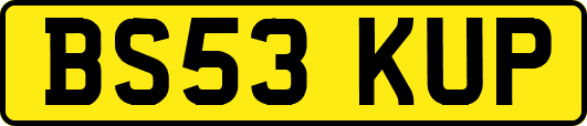 BS53KUP