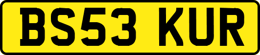 BS53KUR