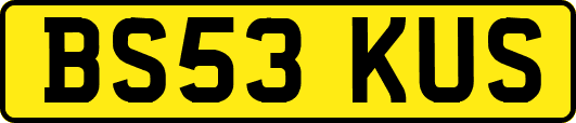 BS53KUS