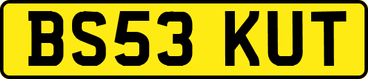 BS53KUT