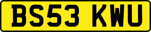 BS53KWU