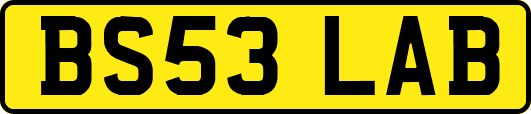 BS53LAB