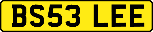 BS53LEE