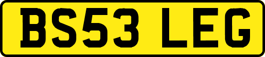 BS53LEG