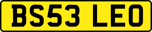 BS53LEO