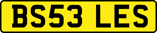 BS53LES