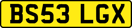 BS53LGX