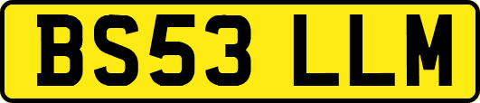 BS53LLM