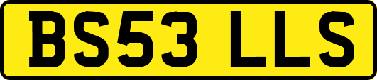 BS53LLS