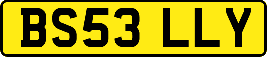 BS53LLY