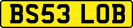 BS53LOB