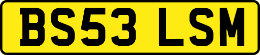 BS53LSM