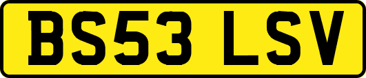 BS53LSV