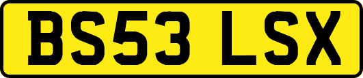 BS53LSX