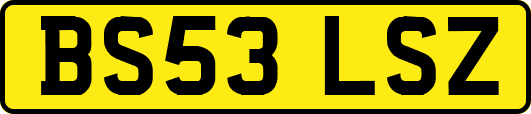 BS53LSZ