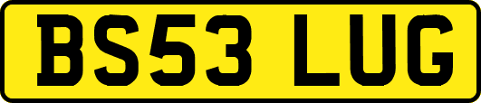 BS53LUG