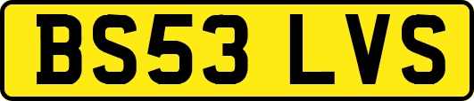 BS53LVS