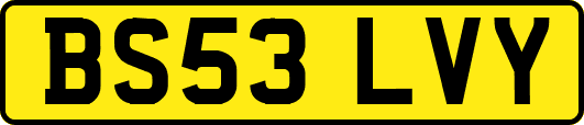 BS53LVY