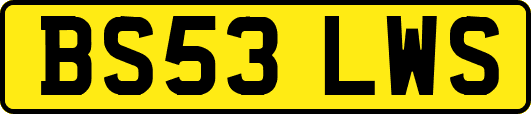 BS53LWS