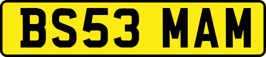 BS53MAM