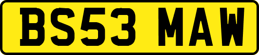 BS53MAW