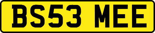 BS53MEE