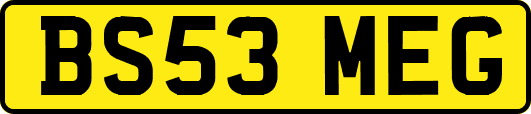 BS53MEG