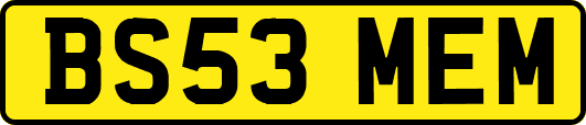 BS53MEM