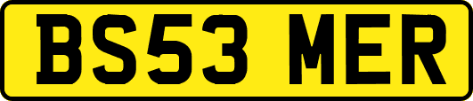 BS53MER