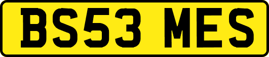 BS53MES