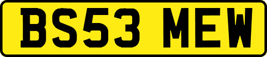 BS53MEW
