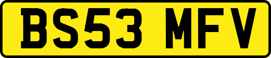 BS53MFV
