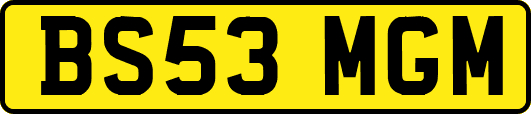 BS53MGM